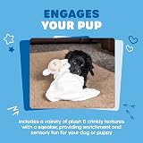Webbox Layla the Cuddle Lamb Soft Blanket Toy for Dogs Puppies Crinkle Squeaker view 4