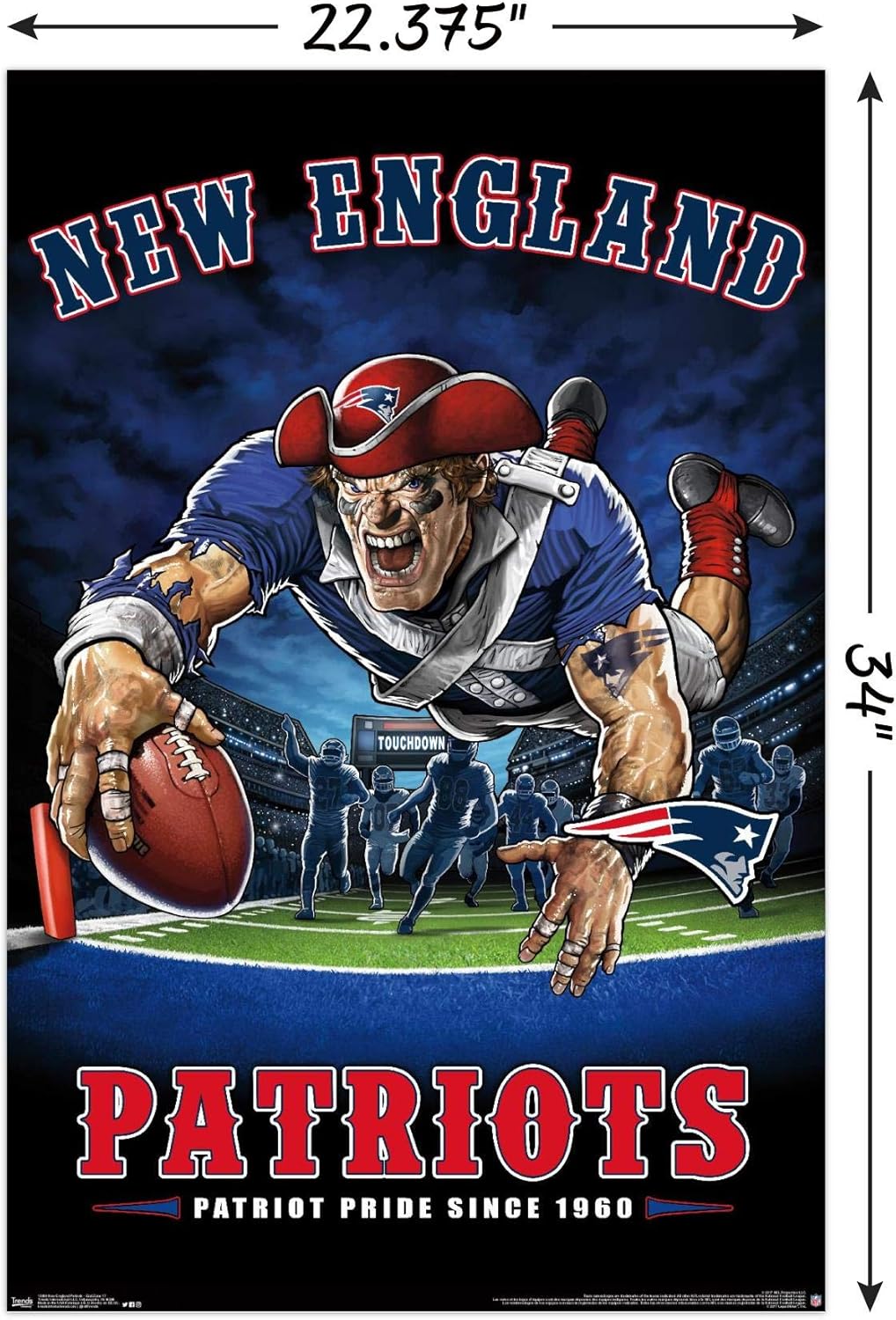 Amazon Com Trends International Nfl New England Patriots End Zone 17 Wall Poster 22 375 X 34 Unframed Version Home Kitchen