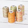 Amazon.com: Threadart 100% Cotton Variegated Thread Set | 5 Cones Party ...