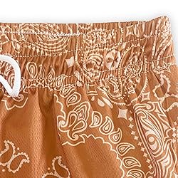 DIOTSR Mens Paisley Graphic Shorts Casual