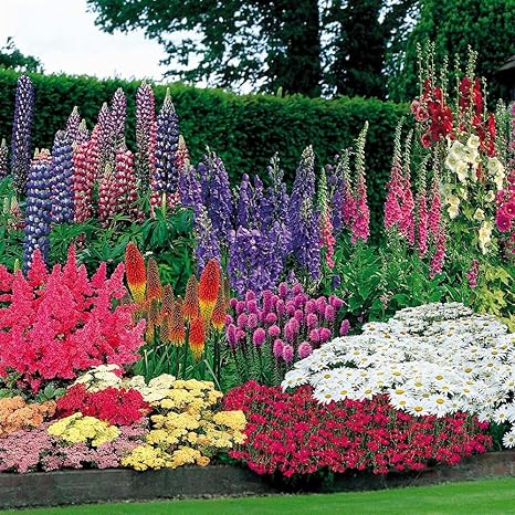 47 Pflanzen + 100 Blumenzwiebeln: Amazon.de: Garten