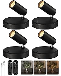 EZVALO Spotlights Indoor with Remote,5500mAh