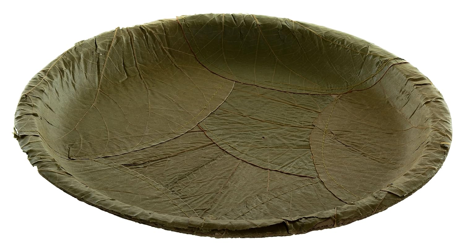 Buy BHAVIN Maloo Creeper Leaf Disposable Plate, 25Piece, 31 cm, Brown
