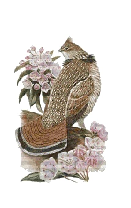 Buy Pennsylvania State Bird And Flower Ruffed Grouse And Mountain Laurel Counted Cross Stitch Pattern Online At Low Prices In India Amazon In