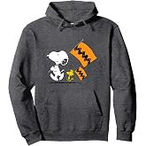 Peanuts - Snoopy Charlie Brown Flags Pullover Hoodie