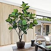 Artificial Fiddle Leaf Fig Tree 7.5ft - Tall Faux Ficus Lyrata Plant with Realistic Leaves and Large Trunk, 90" Fake Fig Tree in Pot for Home Living Room Office Porch Indoor Decor Perfect Housewarming
