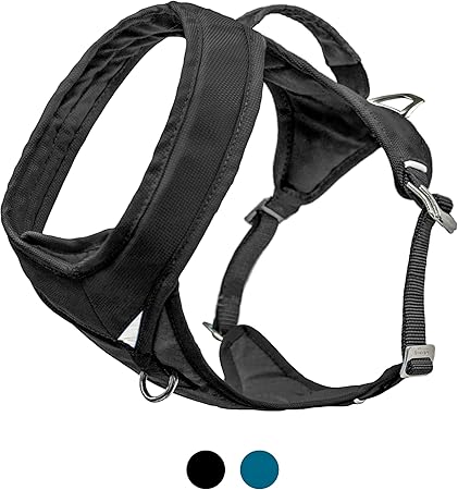 best betta fish filter