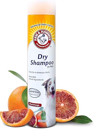 do i have to crate train my dog