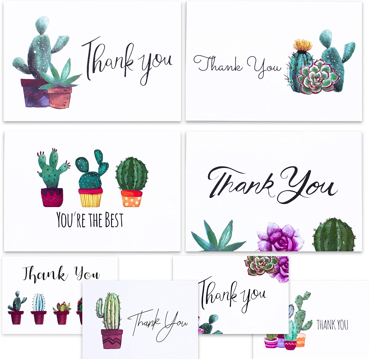 Cactus Thank You Cards for Succulent Thank You Notes! Bulk Set of 48 Blank Cards with Envelopes for Baby Shower Note Cards, Wedding Thank You Cards and Bridal Shower Thankyou Card