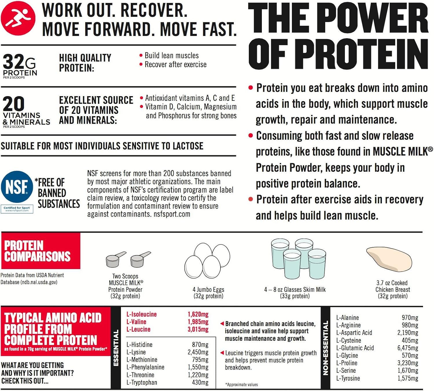 Muscle Milk Genuine Protein Powder, Peanut Butter Chocolate, 32g Protein, 2.47 Pound, 16 Servings: Health & Personal Care