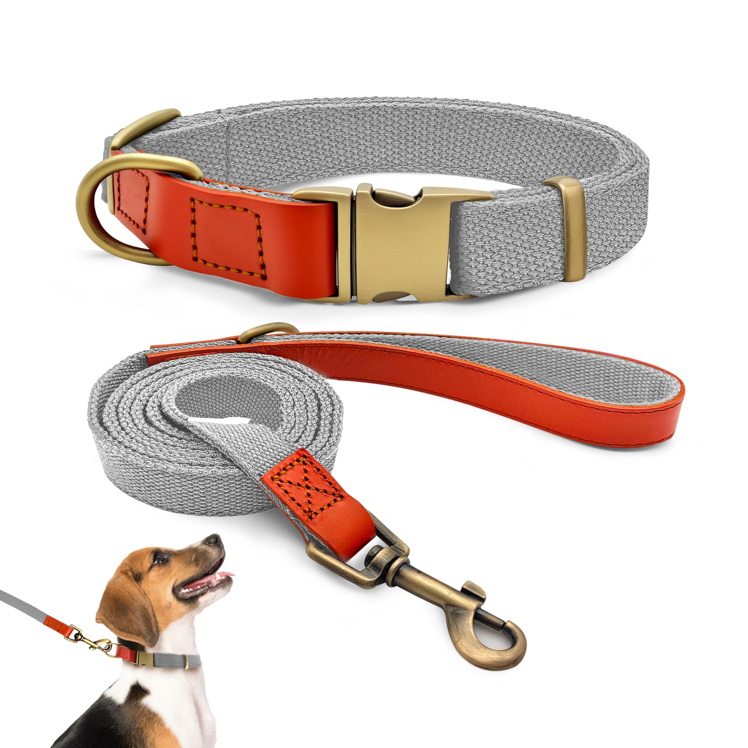 QRDA Dog Collar and Lead Set Silver Grey Personalized Collar Adjustable Tactical Belt for Small Dogs Medium Dogs, M