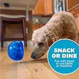 Outward Hound Lil' Snoop Durable Interactive Treat Dispensing Toy Small Royal view 6