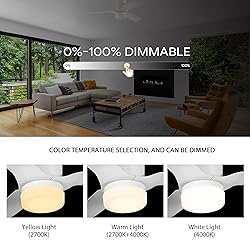 SMAAIR 52 Inch Smart Ceiling Fan with Lights and