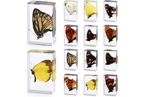 ABURRORI 12 Pcs Butterfly Insect in Resin Specimen Bugs Collection Paperweights，12 Styles Real Bug Specimen Bug Kit Preserved in Resin for Scientific Educational Display Supplies (Butterfly)