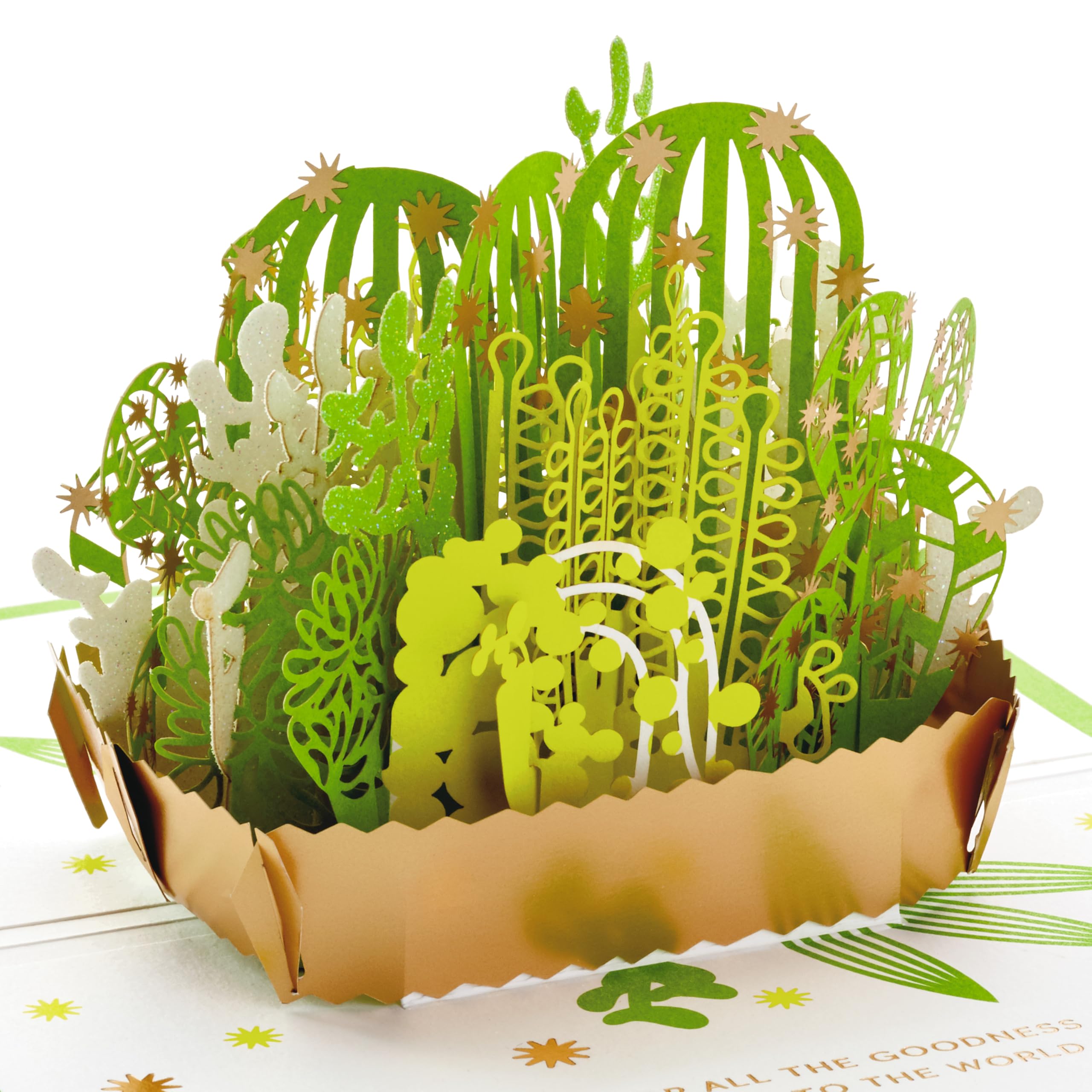 Hallmark Signature Paper Wonder Pop Up Friendship, Thank You, or Birthday Card Succulents