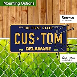 Custom Delaware License Plate, Personalized License