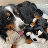 Snuggle Puppy Plus Dog Toy with 3 Heat Packs RealFeel Heartbeat Bernese view 4