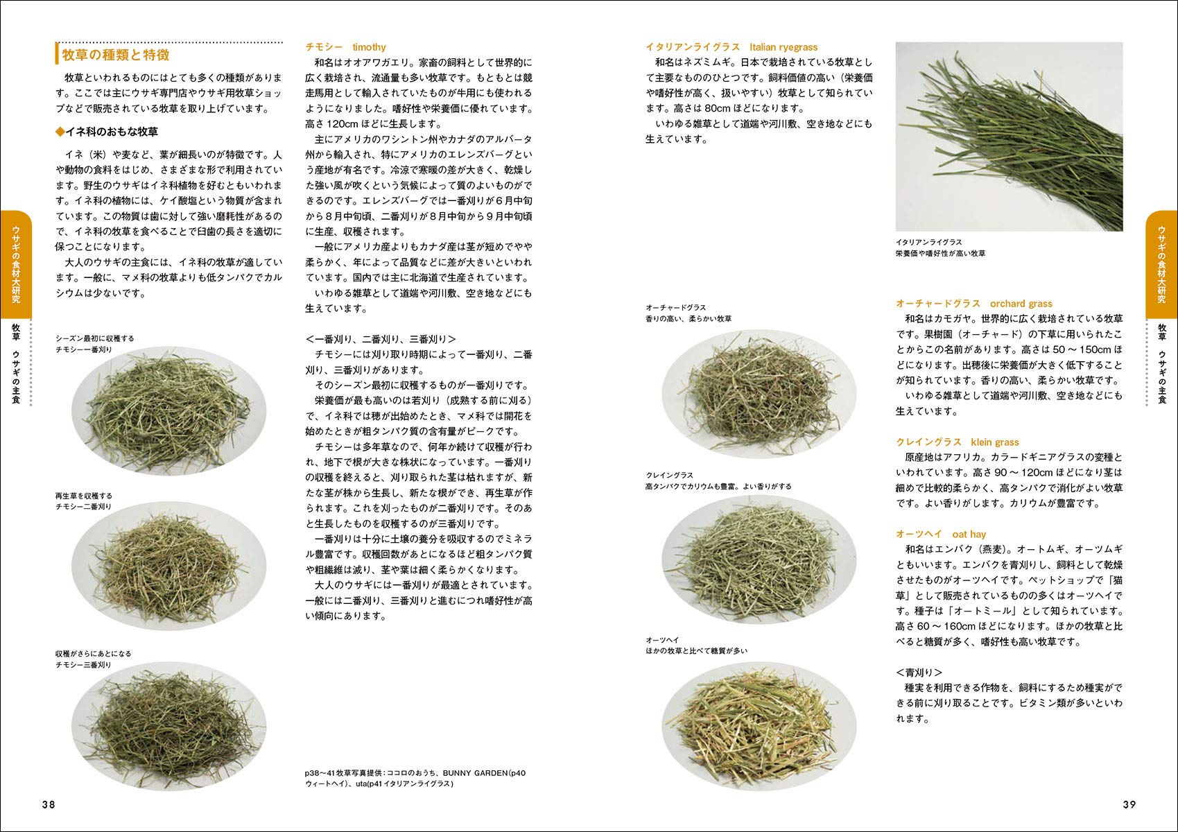新版 よくわかるウサギの食事と栄養 食事の与え方と選び方 目的別に引けて使いやすい ウサギの健康のために一家に一冊 瑞絵 大野 本 通販 Amazon