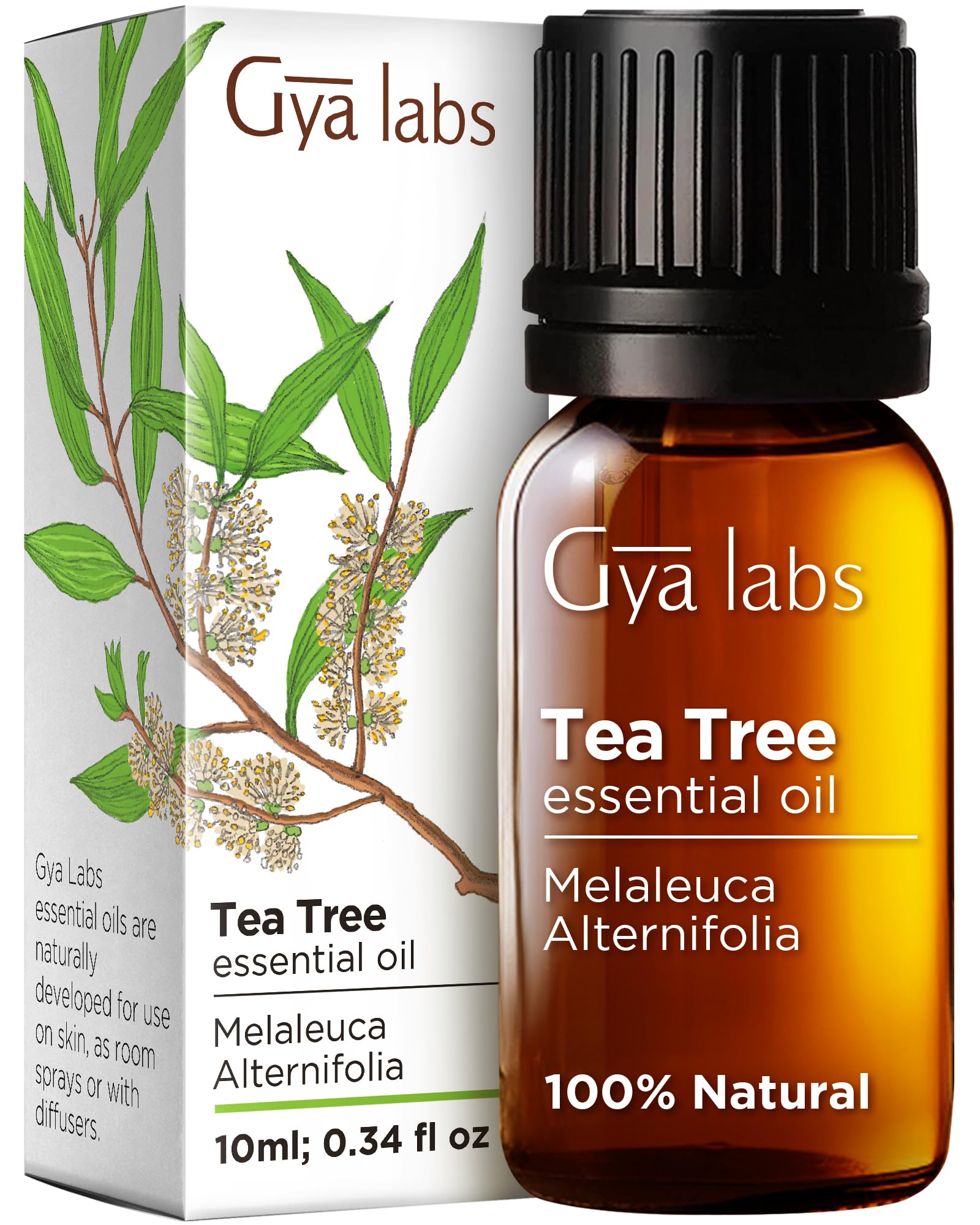 Gya Labs Australian Tea Tree Oil for Skin, Hair, Face & Toenails (10ml) - Natural Melaleuca Tea Tree Essential Oil for Piercings, Scalp & Hair