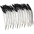 School Smart 085837 2-Tone Imitation Eagle Feather, 10" to 12", White with Black Tip (Pack of 12)