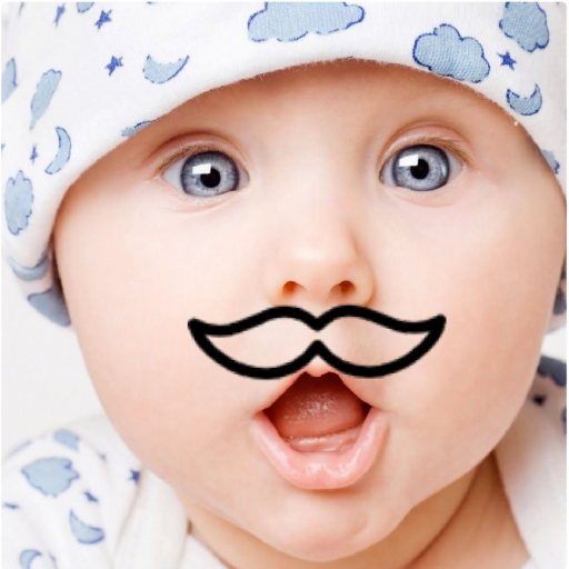 Funny Face Creator