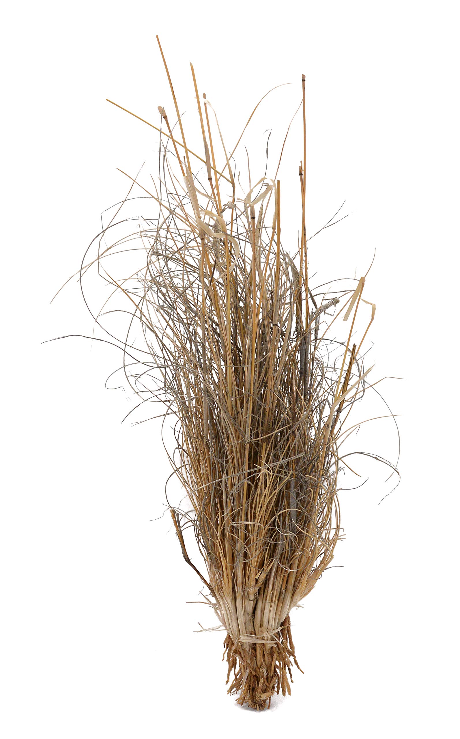 Lucky Reptile DLG 01 Grass bundle: approx.25 – 40 cm