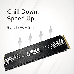 LEVEN JPS600 4TB PCIe Without Dram Read Speed Up to