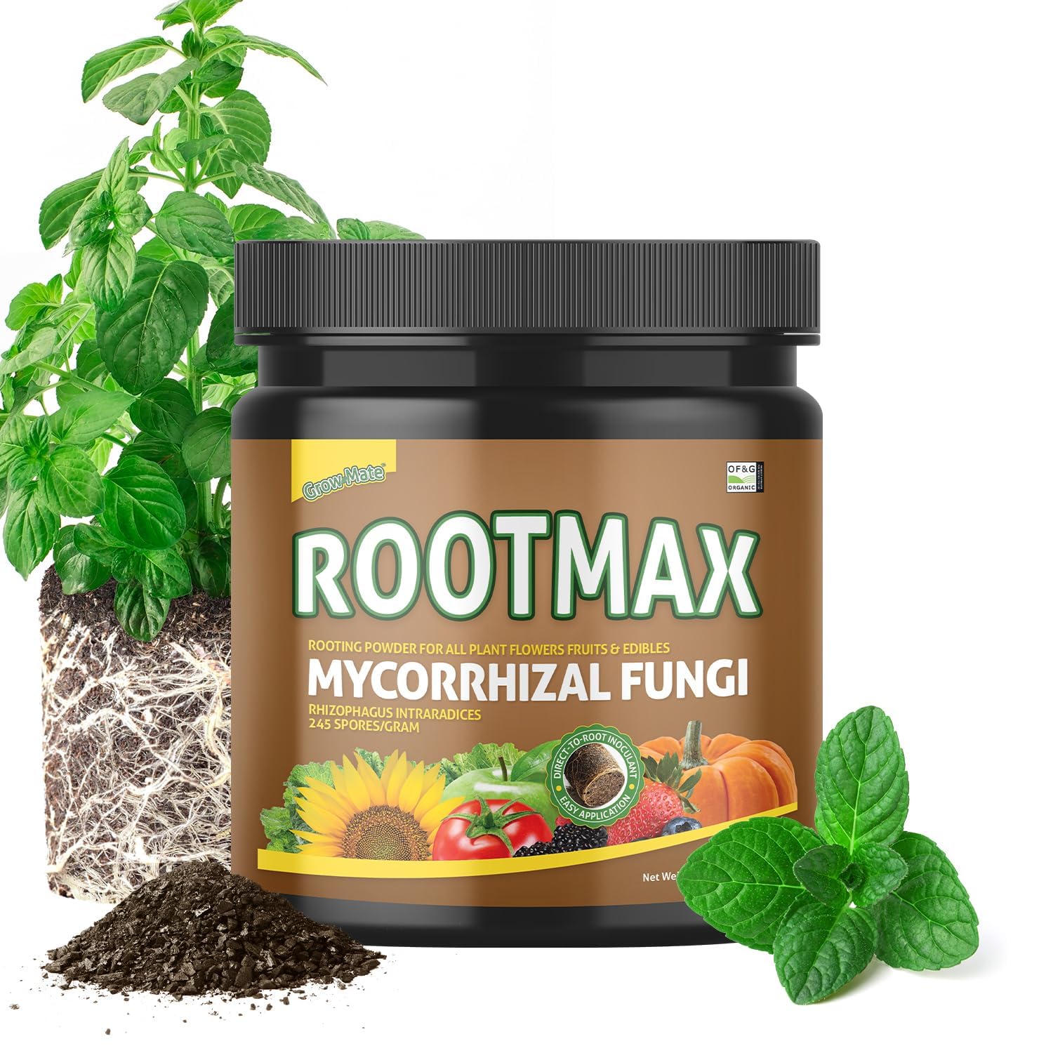 RootMax (1 Kg/35.2 oz) - Mycorrhizal Fungi Rooting Powder for Plants Cuttings Treats upto 200 Plants | 50x More Potent than Rooting Hormone for Cuttings. Enhanced Formula for Bigger Roots