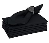 Ruvanti Premium Linen Napkins Set of 4-20x20