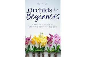 Orchids for Beginners: A Practical Guide to Growing Beautiful Blooms