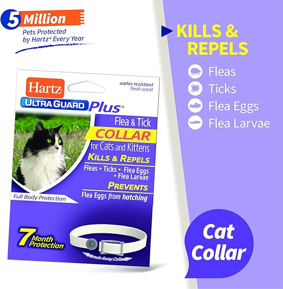 hartz ultraguard for cats collar