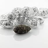 Mountain Home Biological Barn Owl Pellets, Pack of 5 Extra Large Pellets and Bone Sorting Guide, Individually Foil Wrapped &amp; Pre-Graded, Science Classroom Hands On Dissection Kit