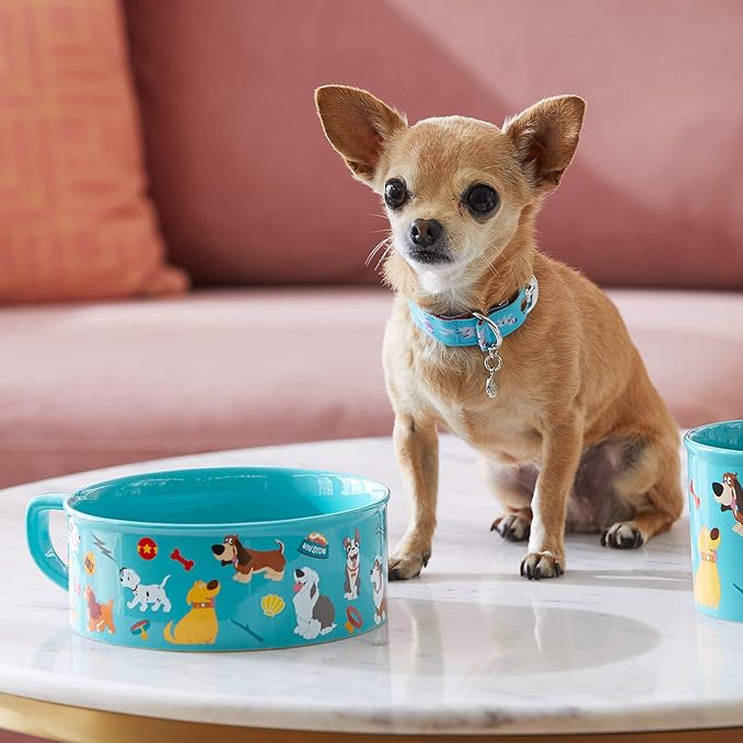 mickey mouse dog bowl