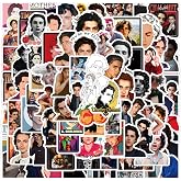 127PCS Timothee Chalamet Stickers, Aesthetics Graffiti Waterproof Vinyl Decal for Birthday Party Supplies Decoration Favors for Water Bottles Laptop Suitcase Scrapbooking Choice &hellip;