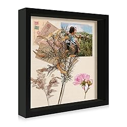 CCDCC 11x11 Shadow Box Display Case with Tempered