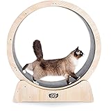 MAXIMA Cat Exercise Wheel 35"-Australian Brand- Assembly Video Included, Organic Wooden Materials, Indoor Cat Treadmill