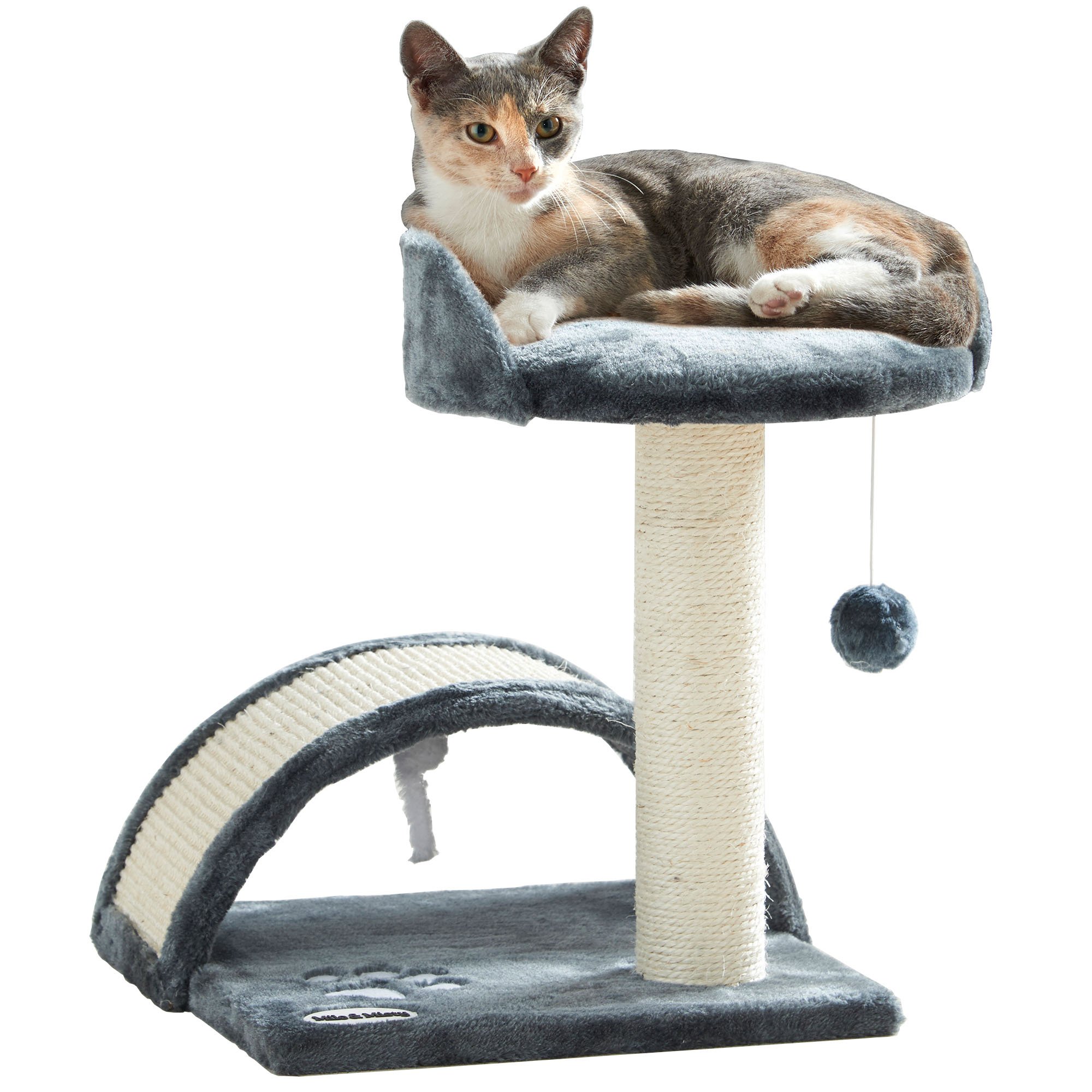 science diet coupons petsmart