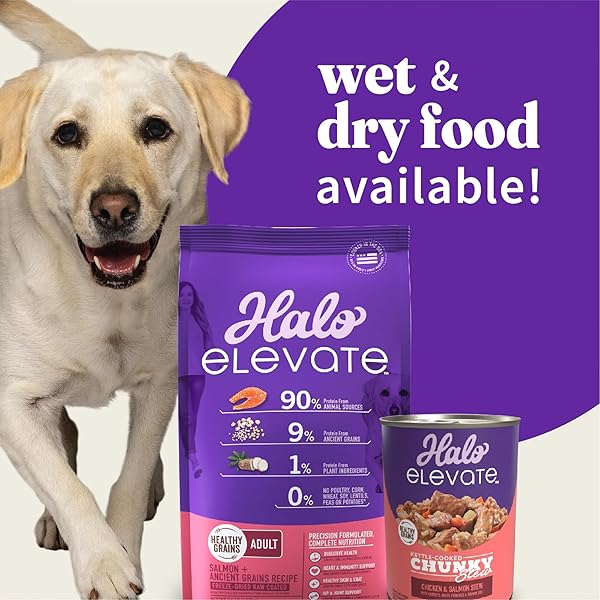 HALO ELEVATE WET DOG FOOD KETTLE COOKED CHUNKY CHICKEN & SALMON STEW, HEALTHY GRAINS CANNED DOG FOOD, 12.7 OZ CAN (PACK OF 6)