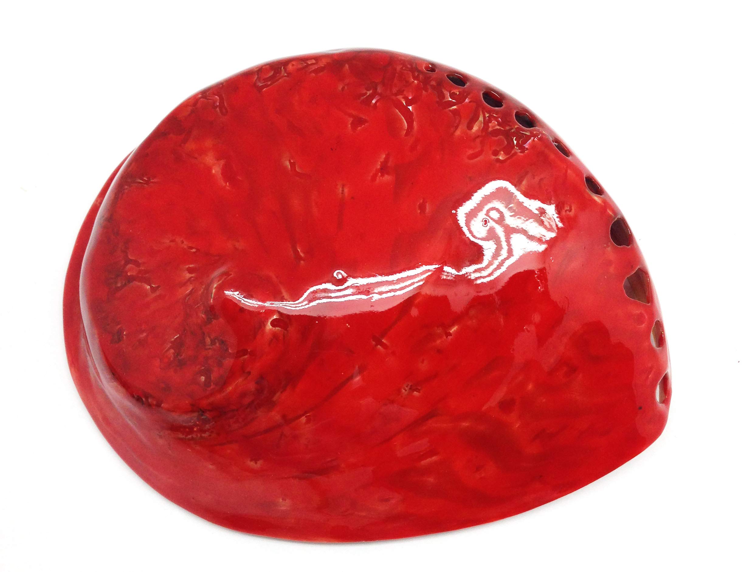 Photo 1 of PEPPERLONELY 1 PC Polished Bright Red Midas Abalone Sea Shells for Home Decor and Display, 5-1/2 Inch ~ 6 Inch