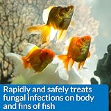 API PIMAFIX Antifungal Fish Remedy 237 ml Bottle Brand API view 5