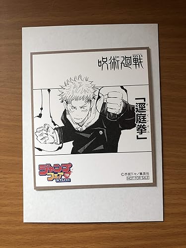 Amazon ジャンプフェア 購入特典 順術回線 ミニ色紙 アニメイト Junp026 トレカ 通販