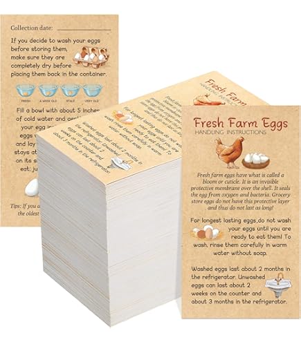 thumbnail image 2 of Mvgges Funny 'Fresh Eggs For Sale' Metal Tin Sign - 16x12 Inch Rustic Novelty Sign For Indoor & Outdoor 2 of 14