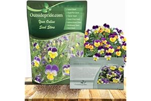 Outsidepride Johnny Jump Up Viola Wild Flower Seeds - 5000 Pcs Easy-to-Grow, Compact & Hardy Perennial Seeds for Planting Outdoors, Ideal for Pollinators, Garden Beds, Containers, & Hanging Baskets