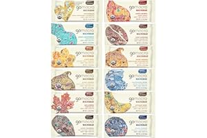 Organic Vegan Protein Bars - Snack Bar Assorted Variety Pack (1.9-2.3 Ounce Bars, 12 Count) In Healthiest Bars Box