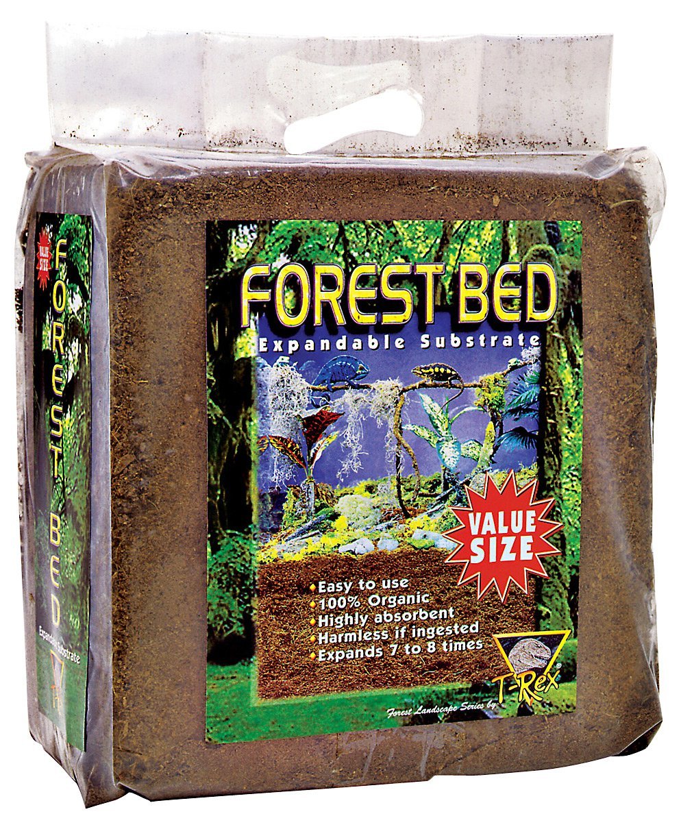 T-Rex Forest Bed, Giant