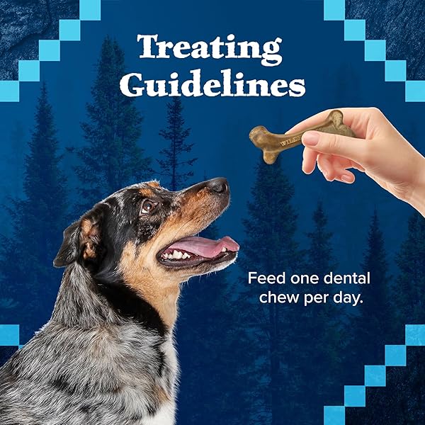 BLUE BUFFALO WILDERNESS WILD BONES GRAIN-FREE DENTAL CHEWS DOG TREATS, SMALL, 27-OZ BAG