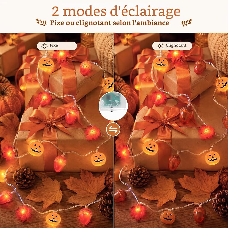 Guirlande Lumineuse Automne, 3m 20LED, Minuterie, Piles — photo 3 sur 8