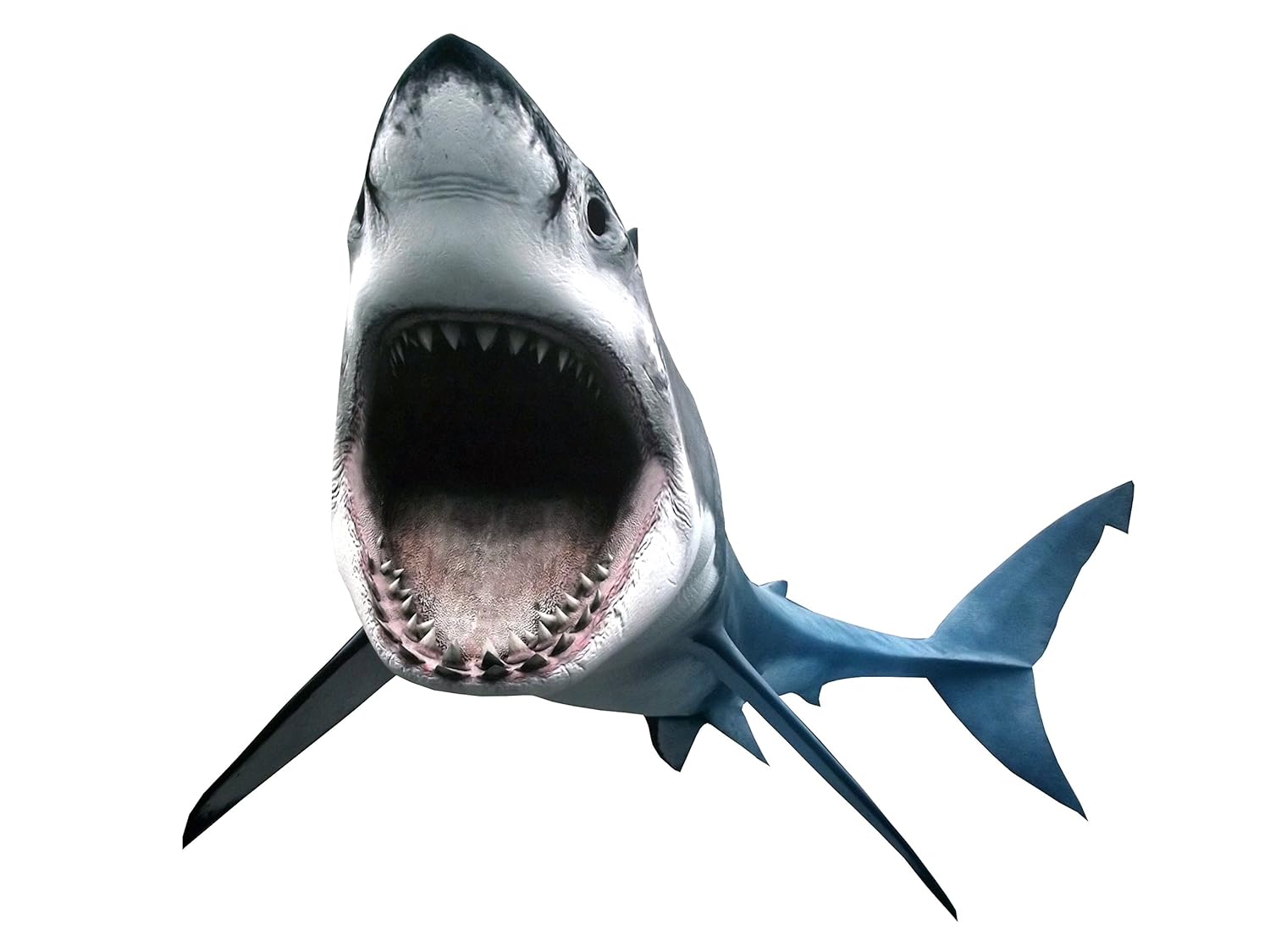 Aahs Engravings Giant Shark Decal Sticker