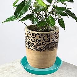 Bleuhome 6 Pack of 8 inch Plant Saucer