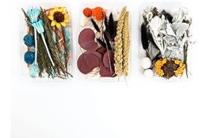 Dried Flowers for Resin Molds Variety of Dried Pressed Flowers for Candle Making Bundle Dry Flowers for Decoration and Scrapbooking Supplies DIY Home Decor by Jomma